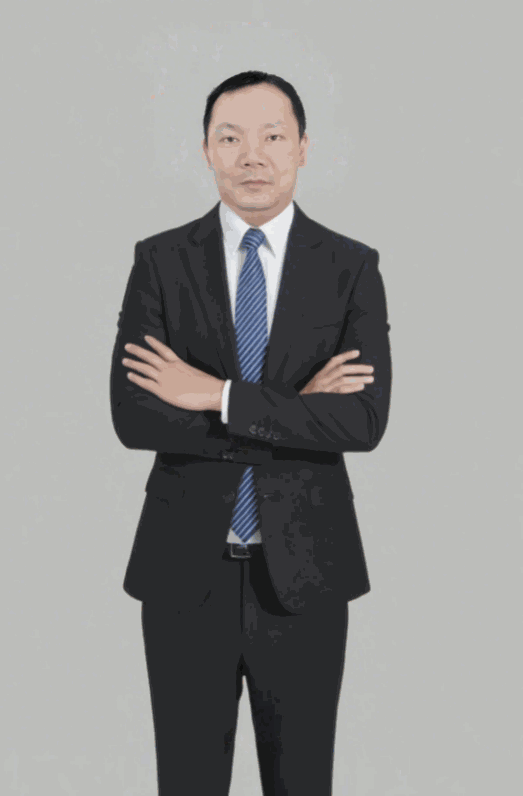 龙石 电力能源资深专家