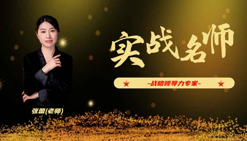 张蕾_战略领导力专家